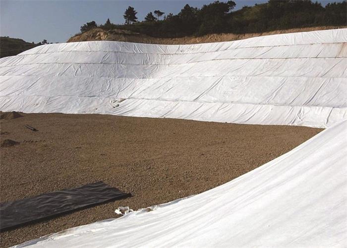 針刺無(wú)紡?fù)凉げ? width=